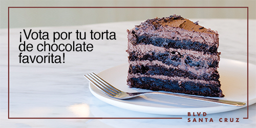 Encuesta Torta Chocolate